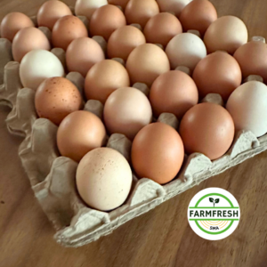 Cage Free Egg - Cono 30